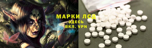 прущие грибы Арсеньев