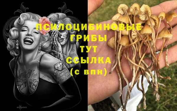 MDMA Premium VHQ Аркадак