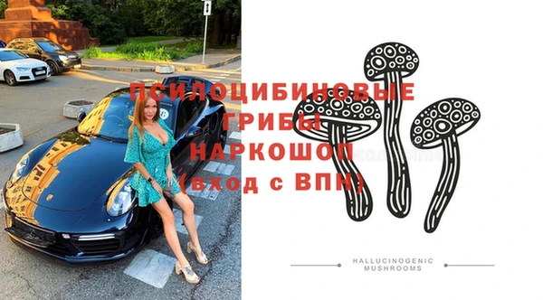 прущие грибы Арсеньев