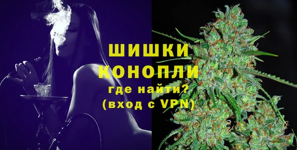 прущие грибы Арсеньев