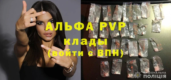 прущие грибы Арсеньев
