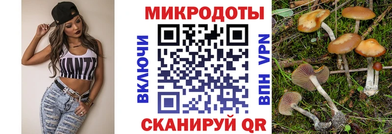 Псилоцибиновые грибы мухоморы Суворов